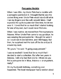 Adapted Novel "Stargirl" by Jerry Spinelli
