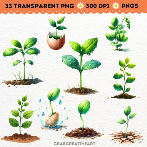 Watercolor Sprout & Grow Clipart - Potted Seedlings Clipart - Seedlings Plants