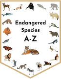 Endangered Species A-Z Bulletin Decor