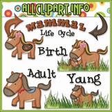 TPT EXCLUSIVE BUNDLE - Life Cycles Clip Art - Mammals