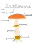 Mushroom Labelling Mushroom Labeling Diagram - TPT
