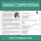 The Horse Reading Comprehension Passage and Questions (Grade 2-5)