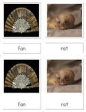 Set 2_a,e,i,o,u_Complete