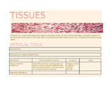 Tissues Research Template