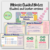 Meiosis Guided Notes (Introduction, Meiosis I, Meiosis II)