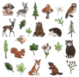 Woodland Animal Creature Clipart Set