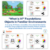 "What is it"? Foundations: Objects in Familiar Environments