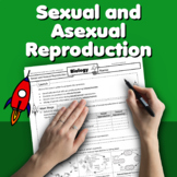 Sexual and Asexual Reproduction Home Learning Worksheet