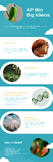 AP Biology Big Ideas Poster