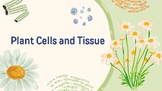 How Cells Stay Alive: Plant cells and tissue high school Lecture