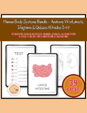 Complete Human Body Systems Unit: Labeling, Tests & Vocabulary