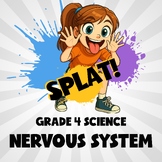 Nervous System SPLAT! Science Game - No Prep Grade 4 Review