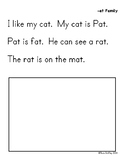 CVC Stories for Word Families (good for Distance Learning to practice reading)