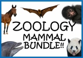 Zoology Mammals Bundle
