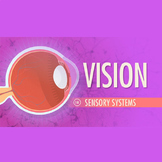 Vision: Crash Course A&P #18 Worksheet & Answer Key