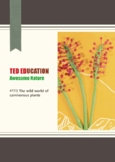 [TED ED] [Awesome Nature] #113 The wild world of carnivorous plants Worksheet