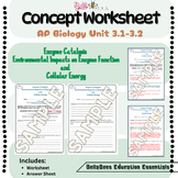 AP Biology Unit 3.1-3.2 Enzymes Concept Worksheet (Catalysis, Impact and Energy)
