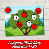 Ladybug Matching Activities, Preschool Math , Homeschool Resource
