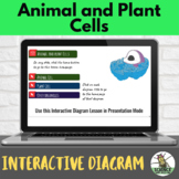 Animal and Plant Cells Interactive Diagram