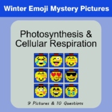 Photosynthesis & Cellular Respiration - Winter Emoji Mystery Pictures