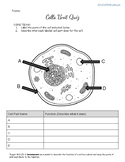 Cells Quiz - Plant and Animal