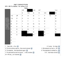 Sight Crossword Puzzle (8+ Letters/O-Z/901-1000) PDF