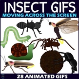 Insect GIFs Clipart - Animated Bugs Moving Across the Screen Clip Art - Set 3
