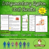 Skin, Hair, Nails: Integumentary System Unit Bundle
