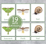 MINIBEASTS Montessori 3 part cards.