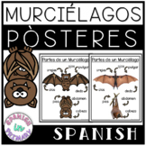Parts of a Bat | Partes de un MurciÂ¨Â¦lago | Posters in Spanish