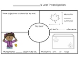 Leaf Investigation