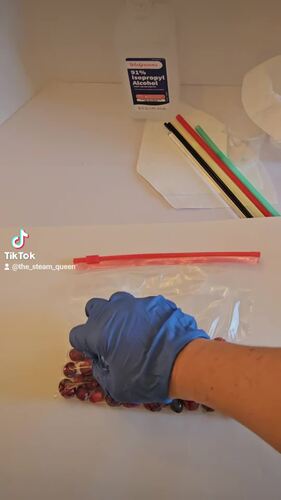 13880-cranberry-dna-extraction-lab-thanksgiving-science-activity-middle-school-science-1.jpg