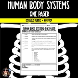 Human Body Systems Activity | One Pager