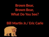 CVI: Brown Bear, Brown Bear, What What Do You See? Multisensory adaptation