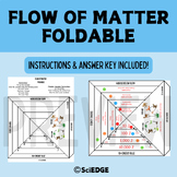 Flow of Matter: Food web, food chain, trophic levels | Foldable