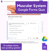 Muscular System Quiz in Google Forms 