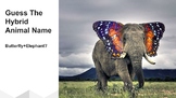 Welcoming Ritual: Guess The Hybrid Animal Name