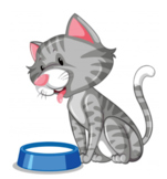 -at word, cat