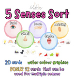 5 Senses Sort