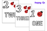 Kindergarten Counting Numbers 1Â¨C20 | Daily Number Worksheets