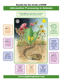 How Animals Sense the World - Information Processing - Grade 4 NGSS