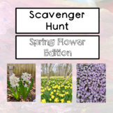 Spring Flowers of New England Scavenger Hunt