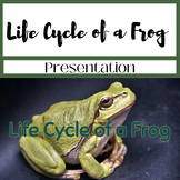 Life Cycle of a Frog Presentation