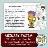 Urinary System | Human Body | Anatomy | Kidney Structure & Function Notes & Lab