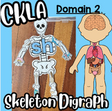 CKLA Unit 2 The Human Body- Digraph Skeleton Activity- Center