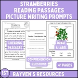 Strawberry Reading Passages, Comprehension Questions, Writing Prompts 1st
