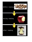 Before, During, After Reading Visuals