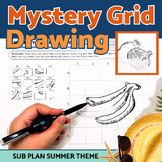 Mystery Grid Drawing Project Early Finisher Activity for before Summer Break