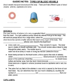 TYPES OF BLOOD VESSELS GUIDED NOTES