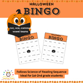 Bingo Halloween Activity - Great for 1st-3rd Grade